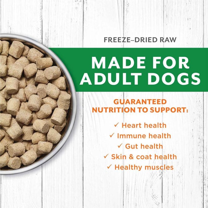 Instinct Raw Longevity Adult Freeze-Dried Lamb Bites Dog Food 15 Ounce