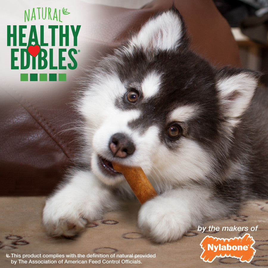 Nylabone Healthy Edibles All-Natural Long Lasting Puppy Chew Treats Turkey & Sweet Potato