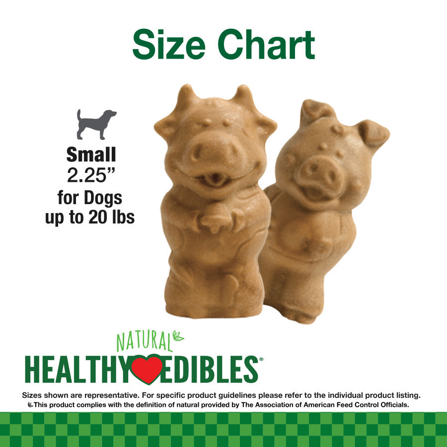 Nylabone Healthy Edibles All-Natural Long Lasting Puppy Chew Treats Lamb & Apple