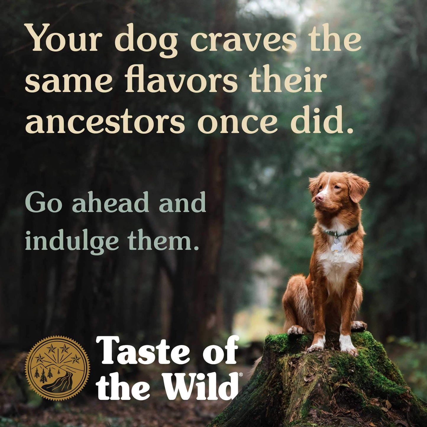 Taste of the Wild Pacific Stream Canine with Smoked Salmon 13.2 oz