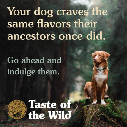 Taste of the Wild Pacific Stream Canine with Smoked Salmon 13.2 oz