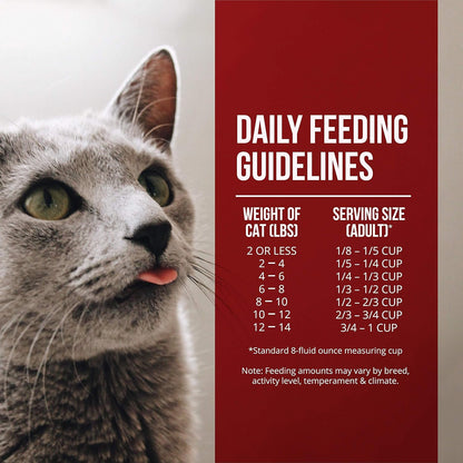 Fussie Cat Market Fresh Chicken & Turkey Recipe 4 lb