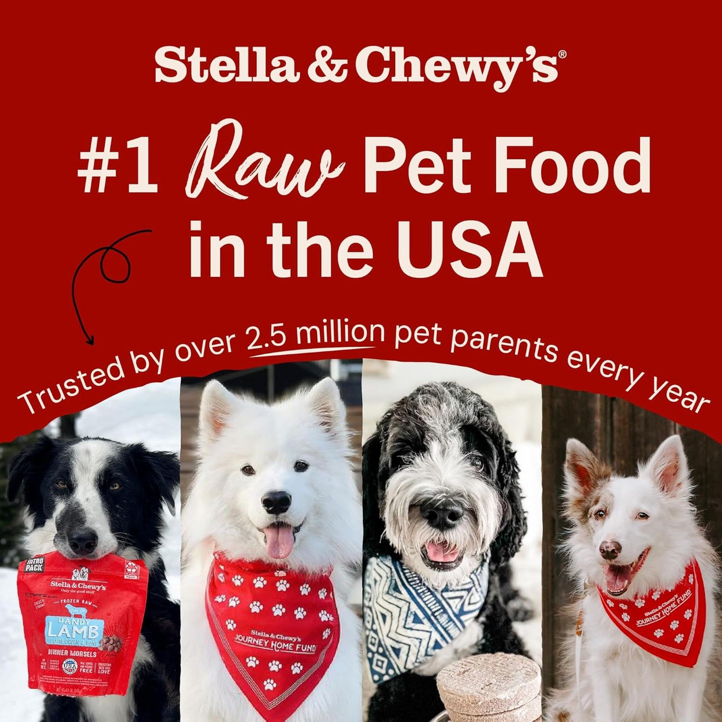 Stella and Chewy's Freeze Dried Duck Duck Goose Dinner Patties Dog Food