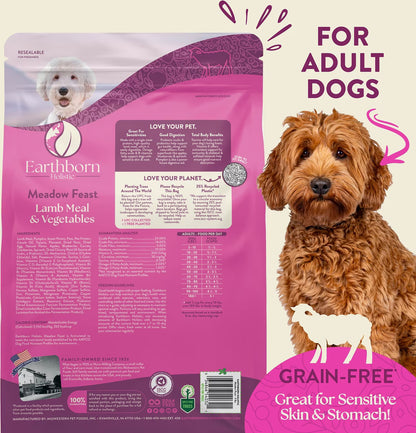 Earthborn Holistic Meadow Feast Lamb Meal & Vegetables Grain-Free Dry Dog Food