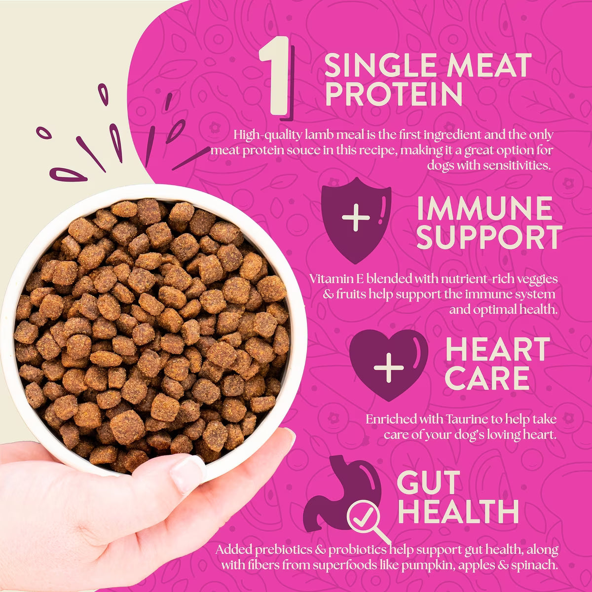 Earthborn Holistic Meadow Feast Lamb Meal & Vegetables Grain-Free Dry Dog Food