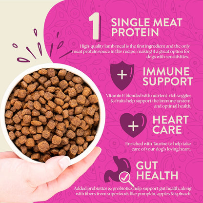 Earthborn Holistic Meadow Feast Lamb Meal & Vegetables Grain-Free Dry Dog Food