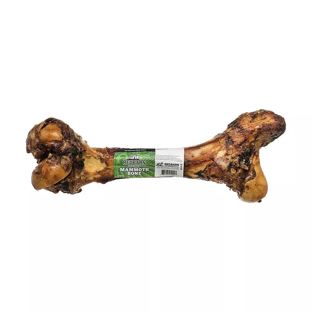Redbarn Pet Products Mammoth Bone