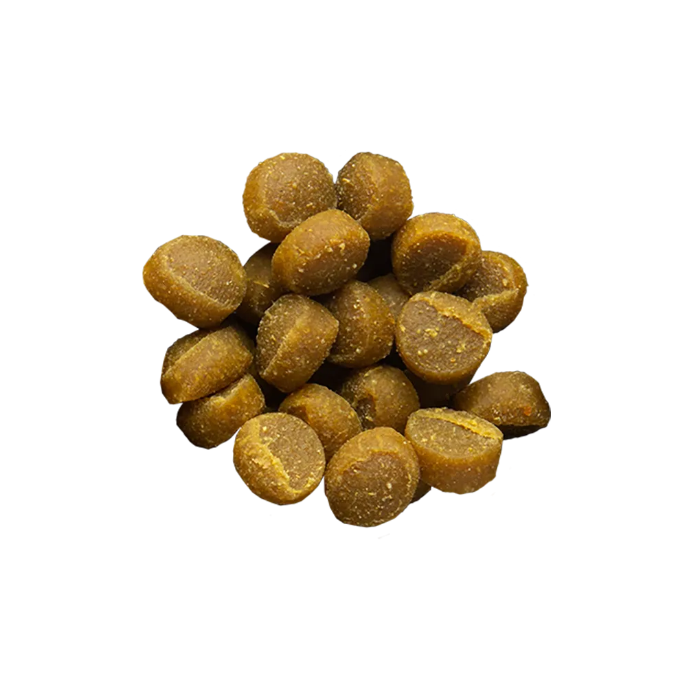 Zuke’s Mini Naturals Salmon Recipe Dog Treats