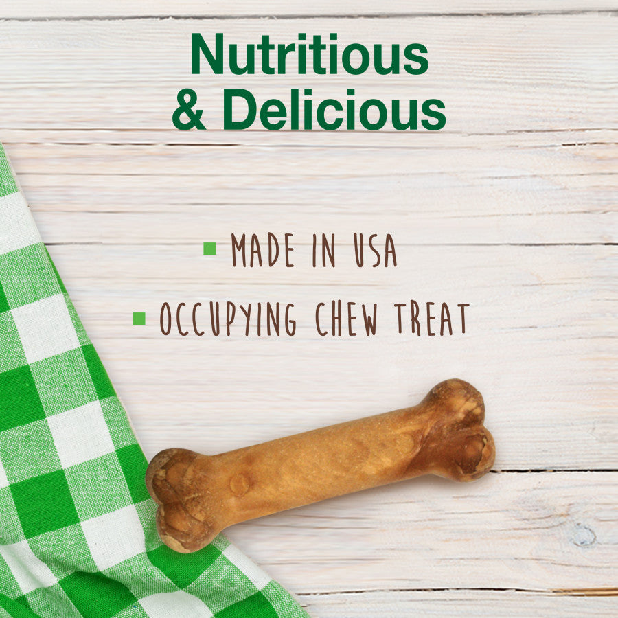 Nylabone Healthy Edibles All-Natural Long Lasting Chew Treats Bacon