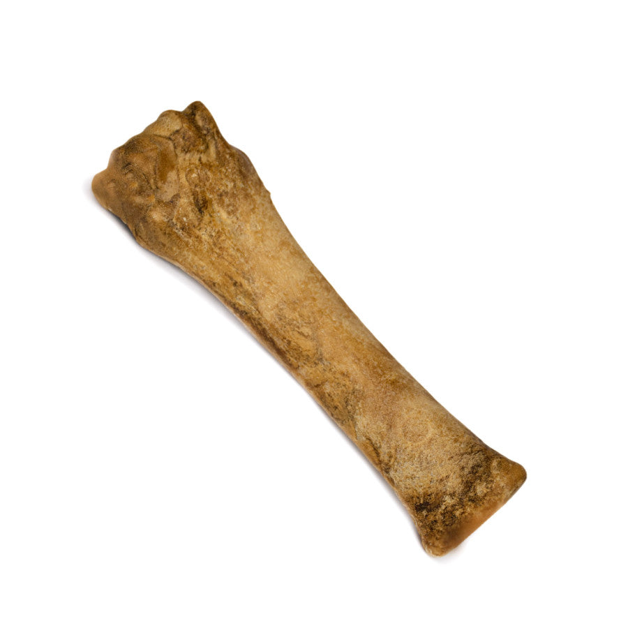 Nylabone Healthy Edibles All-Natural Long Lasting Chew Treats