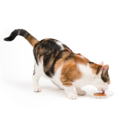 Catit Creamy Lickable Cat Treat Chicken & Liver 5 Pack