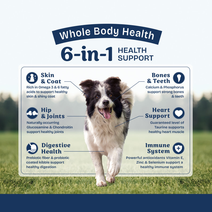 Natural Balance Pet Foods Health Protection Dry Dog Food