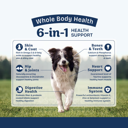 Natural Balance Pet Foods Health Protection Dry Dog Food