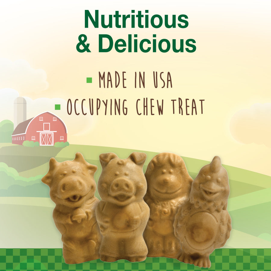 Nylabone Healthy Edibles All-Natural Long Lasting Puppy Chew Treats Lamb & Apple