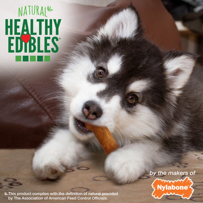 Nylabone Healthy Edibles All-Natural Long Lasting Puppy Chew Treats Turkey & Sweet Potato