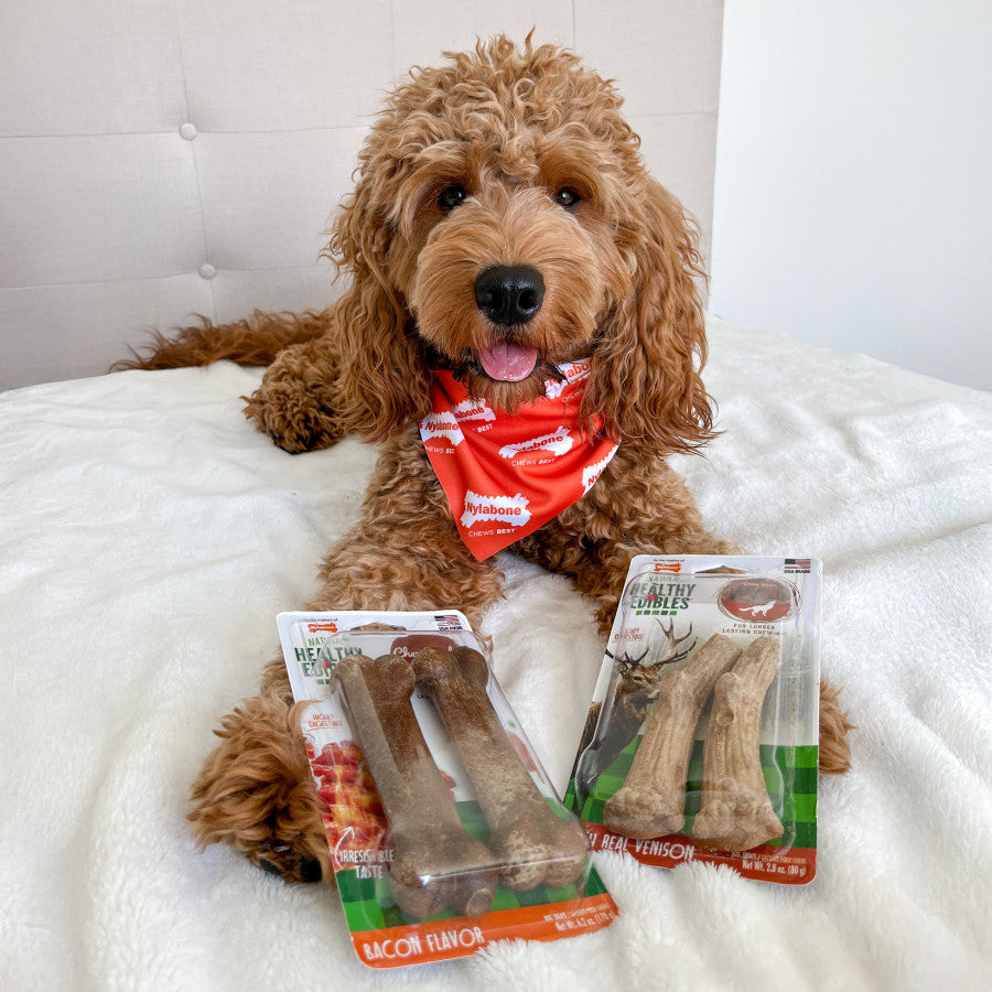 Nylabone Healthy Edibles WILD All-Natural Long Lasting Antler Chew Treats
