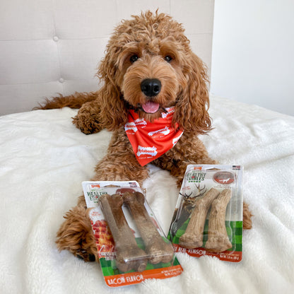 Nylabone Healthy Edibles WILD All-Natural Long Lasting Antler Chew Treats