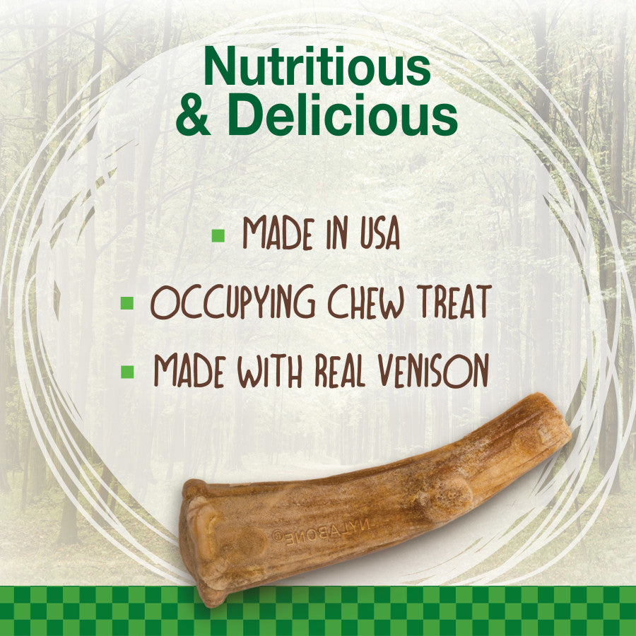 Nylabone Healthy Edibles WILD All-Natural Long Lasting Antler Chew Treats