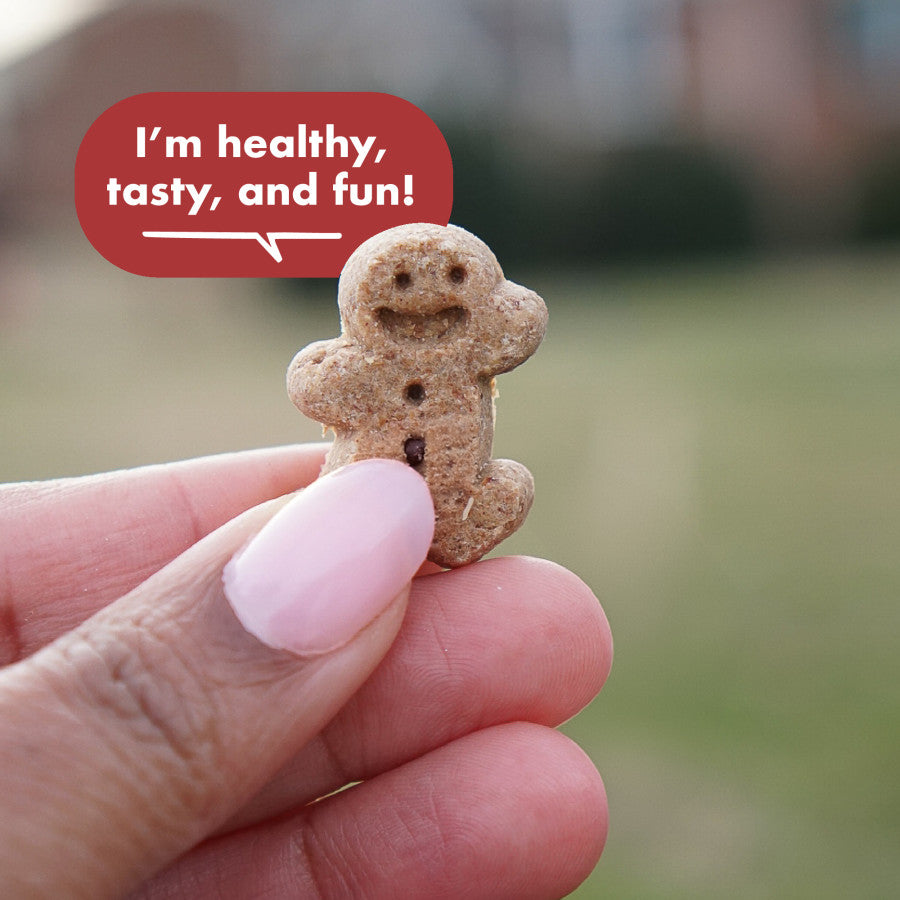 Buddy Biscuits Softies Soft & Chewy Grain Free Dog Treat
