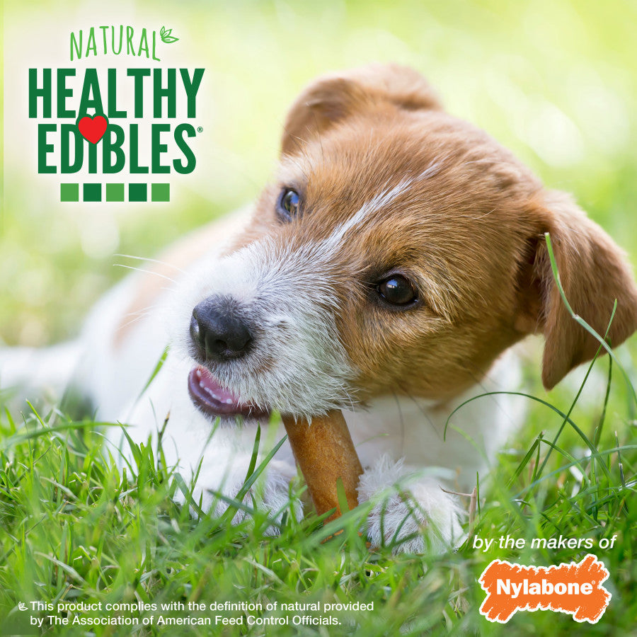 Nylabone Healthy Edibles All-Natural Long Lasting Chew Treats Bacon