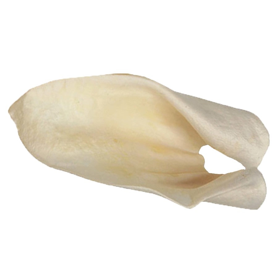 Redbarn Pet Products Cow Ears Dog Chew Bulk Box