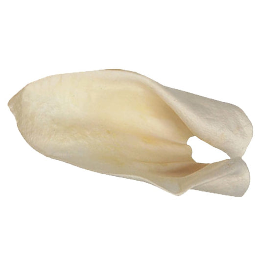Redbarn Pet Products Cow Ears Dog Chew Bulk Box