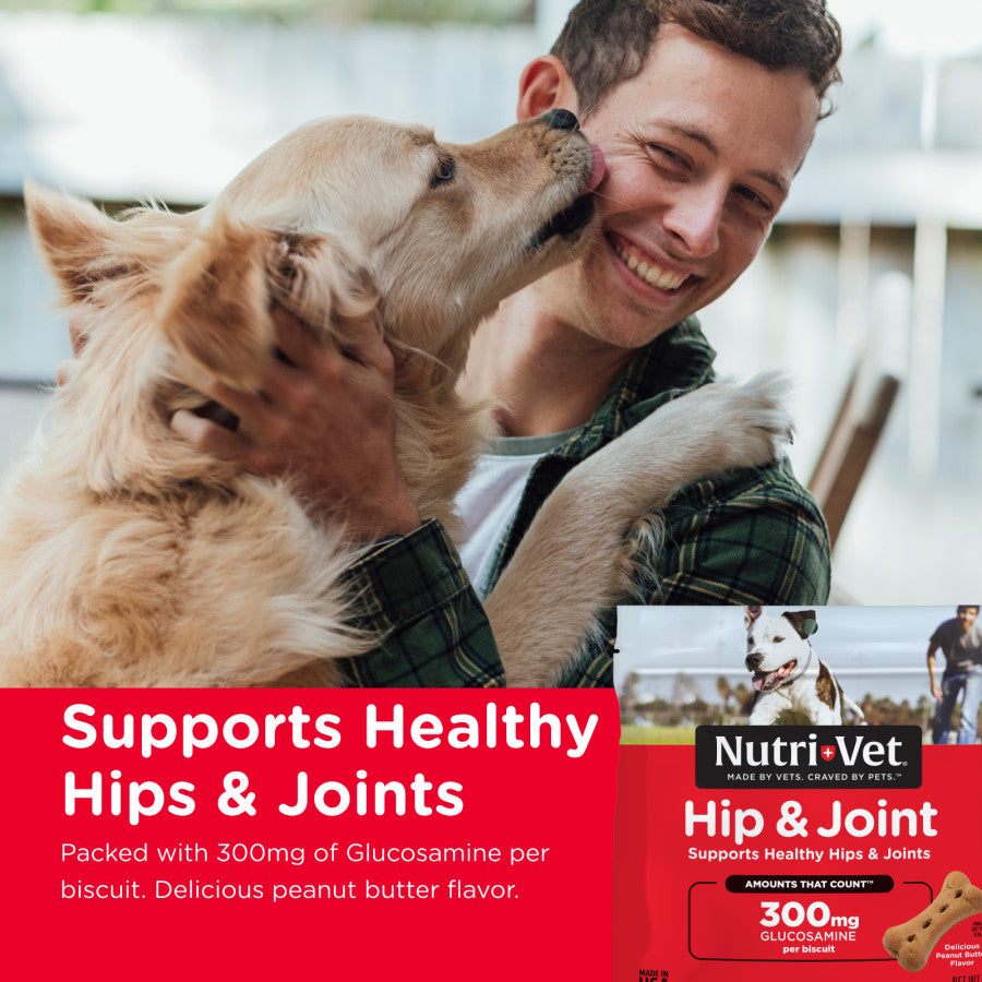 Nutri-Vet Hip & Joint Dog Biscuits Peanut Butter