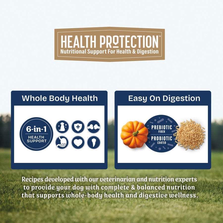 Natural Balance Pet Foods Health Protection Dry Dog Food
