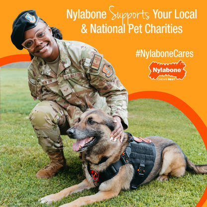 Nylabone Healthy Edibles All-Natural Long Lasting Chew Treats