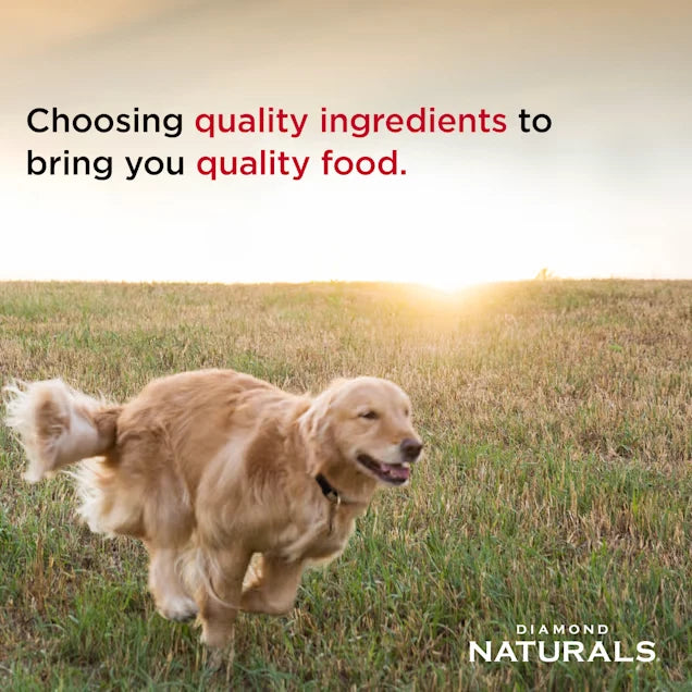 Diamond Naturals Skin & Coat Salmon & Potato Formula Dry Dog Food 30lb