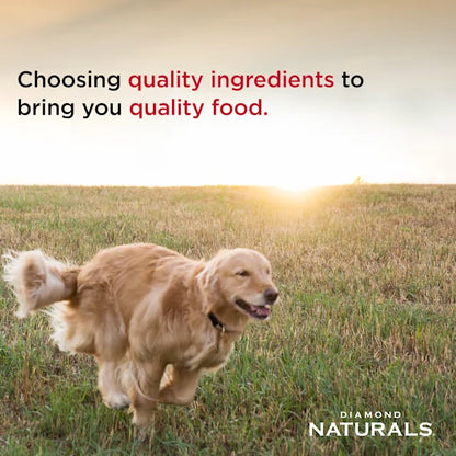 Diamond Naturals Skin & Coat Salmon & Potato Formula Dry Dog Food 30lb