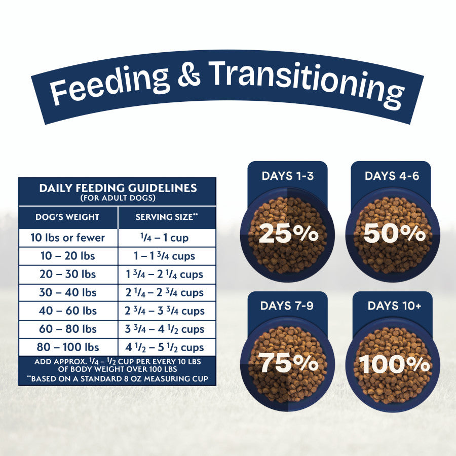 Natural Balance Pet Foods Health Protection Dry Dog Food