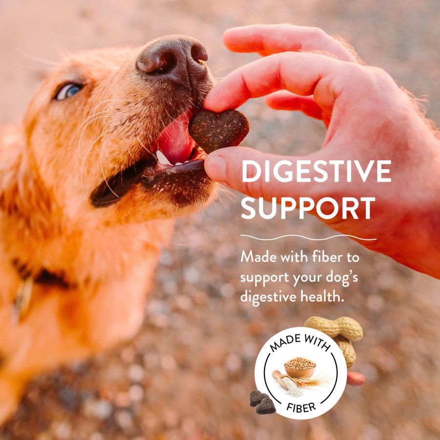 Shameless Pets Pumpkin Nut Partay Soft Baked Dog Treats