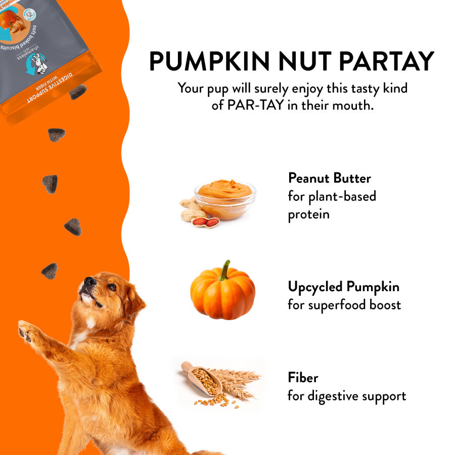 Shameless Pets Pumpkin Nut Partay Soft Baked Dog Treats