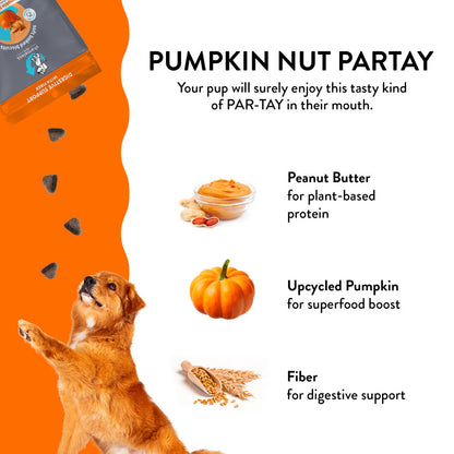 Shameless Pets Pumpkin Nut Partay Soft Baked Dog Treats
